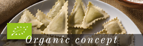 Organic pasta concept